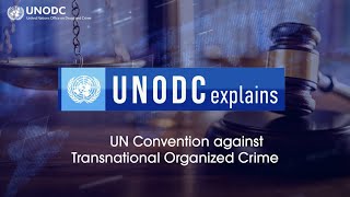 UNODC explains 📢 about the UN Convention against Transnational Organized Crime [upl. by Arezzini347]