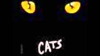 Mungojerrie and Rumpelteazer  Cats  Backing track  Karaoke [upl. by Palmore]