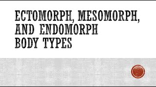 Ectomorph Mesomorph and Endomorph Body Types [upl. by Jacy269]