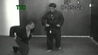 Ninjutsu techniques kick defense [upl. by Ronyar]