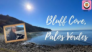 Bluff Cove Palos Verdes Estates [upl. by Aeret]