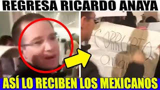 🚨REGRESA EL INFELIZ A MÉXICO LO RECIBEN COMO LA 🐀 QUE ES 🚨 [upl. by Lienahs816]