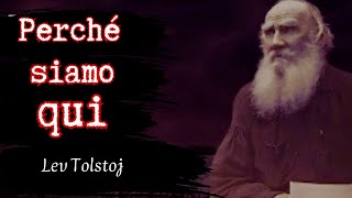 Il FILOSOFO che ha risolto il SIGNIFICATO della VITA Lev Tolstoj [upl. by Enenaej768]