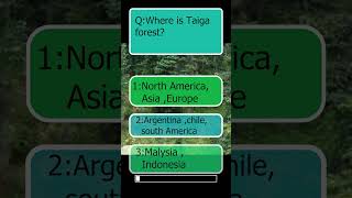 Taiga forest a wide range of forestrainforestwildlife adventure facts animals nature [upl. by Ecirtnom935]