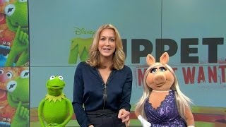 Something Is Not Quite Right With Kermit on GMA [upl. by Drain853]