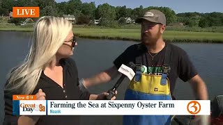 Sixpenny Oyster Farm [upl. by Anilegna406]