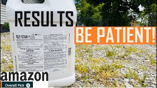 Weed Control Using Glyphosate 41  Most Effective Weed and Grass Killer [upl. by Balas97]