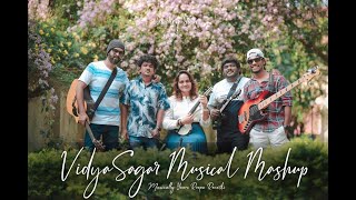 Vidyasagar Musical Mashup  Instrumental  Roopa Revathi amp The Band  Malayalam Melodies [upl. by Nosredneh825]