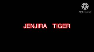 Jenjira Tiger Logo [upl. by Fazeli]