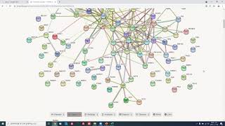 String ClueGO Custom Network Analysis with Cytoscape [upl. by Anairt89]