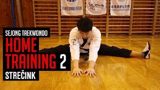 Sejong Taekwondo  HOME TRAINING 2 Strečink [upl. by Haimarej522]