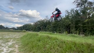 Hondas Best New Pit Bike  Fuel Injected CRF125F [upl. by Nievelt]