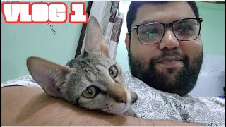 VLOG 1  MEET MY CAT WHISKEY 🍻🍻 funny cat catlover catvideos [upl. by Eirahs]