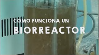 ¿Cómo funciona un BIORREACTOR [upl. by Liagibba]