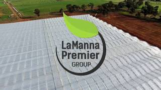 LaManna Premier Group  Newest farming operation [upl. by Semadar]