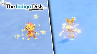 HOW TO EASILY FIND SHINY SCORBUNNY amp CHIMCHAR IN POKEMON VIOLET Indigo Disk DLC [upl. by Shana]