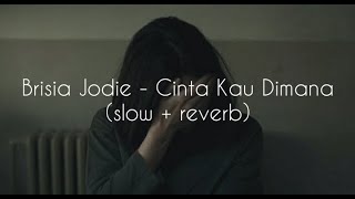 Brisia Jodie  Cinta Kau Dimana slow  reverb [upl. by Rebeka]