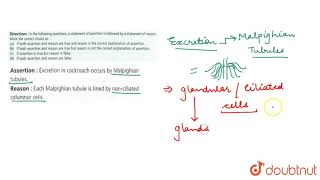 Assertion  Exretion in cockroach occurs by Malpighian tubules Reason  Each Malpighian [upl. by Odom]