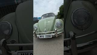 Old is Gold Volkswagen Beetle 🔥🔥🔥 its just wow automobile subscribe shorts PSMotors [upl. by Allekram]