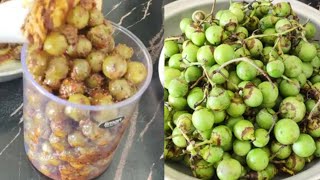 Lasode Ka Achar Recipe  Lasooray Ka Achar  Gunda Pickle [upl. by Diraf]