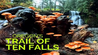 Oregons Trail of Ten Falls  Silver Falls State Park [upl. by Brine]