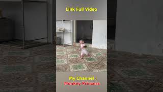 Monkey NANA helps dad get clothes when it rains smartmonkey shorts monkey monkeybaby monkeyNANA [upl. by Eelreveb175]