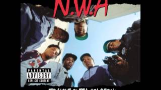 04 NWA  If It Aint Ruff [upl. by Calendre]