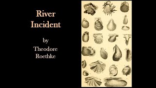 River Incident by Theodore Roethke [upl. by Eulaliah132]