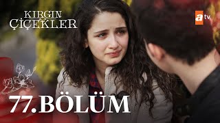 Kırgın Çiçekler 77 Bölüm  atv [upl. by Obel]