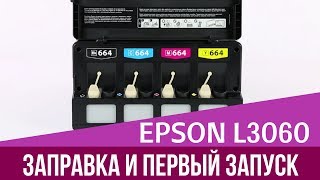 Заправка и первый запуск Epson L3060 [upl. by Singer]