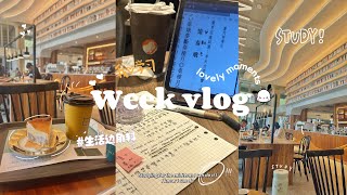 Productive study vlog  📚 study at cafe  midterm exam coming soon day in my life [upl. by Gruver]