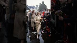 Princess Diana The Peoples Princess A Legacy of Love and Compassion historyshortsdianaspencer [upl. by Grider]