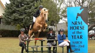 Showtym Spotlight Horse of the Year PR Stunt 2014 [upl. by Blancha]