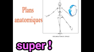 Les plans anatomiques [upl. by Willa]