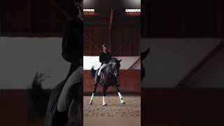 Dressage edit horses equestrian [upl. by Hoffmann]