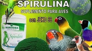 LA SPIRULINA [upl. by Aufa491]