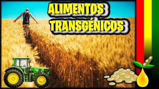 Alimentos transgénicos en Bolivia 2022  Qué son  Ventajas y desventajas [upl. by Estel239]