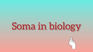 What is Soma in biology [upl. by Arhas913]