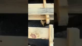 DIY Pallet MagazineBook Rack😀📚diy woodworking diyhomedecor shorts [upl. by Guenevere176]