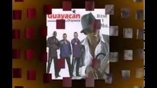 Guayacan Orquesta Cocorobé Salsa Colombiana [upl. by Ynor]