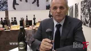 Vinitaly 2014  Cottini [upl. by Ztnarf]