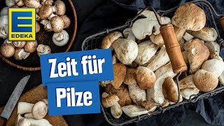 Leckere PilzRezepte  Gerichte mit Pfifferlingen Champignons Steinpilzen und Co [upl. by Haydon]