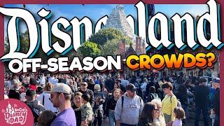 How Crowded is Disneyland in the OffSeason  January 2024 Wait Times [upl. by Amerak]