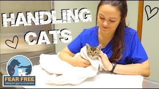 How To Handle Stressed amp Aggressive Cats At The Vet [upl. by Anastase]