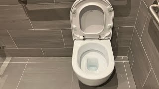 136 Rare Porcelanosa Washout Toilet Plus A Kohler Freshman [upl. by Devehcoy]