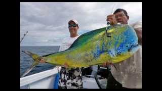 Worlds Biggest Dorado Mahi Mahi Ever Caught [upl. by Anyl670]