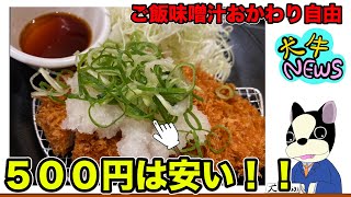 【松のや】500円でお腹いっぱいトンカツが食べられる裏クーポンがお得過ぎる‼︎残暑見舞いセール [upl. by Lambrecht686]