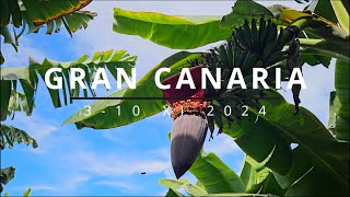 Gran Canaria 2024  by CzemuNie [upl. by Zoller]