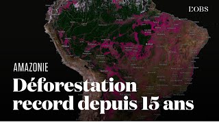 Amazonie  visualisez la déforestation à son plus haut niveau depuis 15 ans [upl. by Noni]