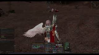 L2 Reborn  Soulhounds Morning PvP fun at Chimeras [upl. by Ereveneug300]